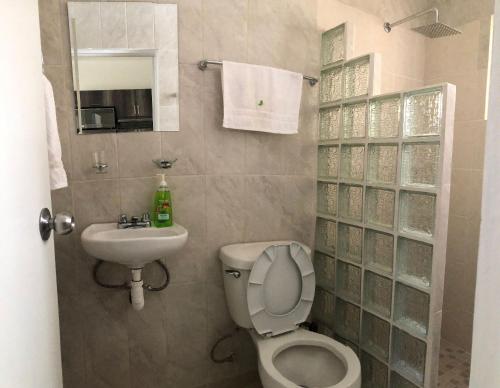 a bathroom with a toilet and a sink at Hermosos departamentos Ciudad Mayakoba in Playa del Carmen
