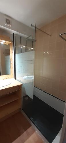 ein Bad mit einer Dusche, einem Waschbecken und einem Spiegel in der Unterkunft Appartement résidence des Bottières in Saint-Pancrace