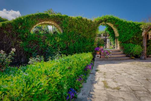 un jardín cubierto de hiedra con dos arcos y flores en The Secret Villa, en Is-Swieqi