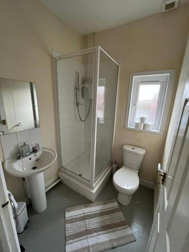 a bathroom with a shower and a toilet and a sink at conway flat in Newport