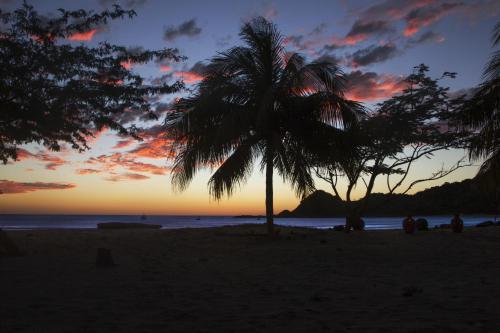 a palm tree on a beach at sunset at Morgan's Rock in San Juan del Sur
