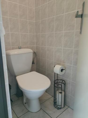 a bathroom with a toilet and a toilet paper dispenser at Penzion Šumava - APARTMÁN in Horní Planá