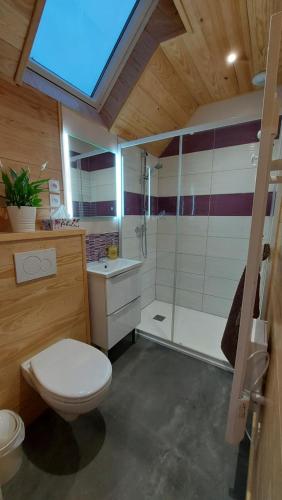uma casa de banho com um WC e uma cabina de duche em vidro. em Chalet Sanset em Gèdre