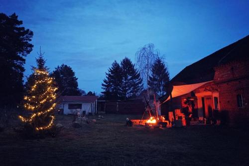 a christmas tree with lights in a yard at night at Gästesuite am Waldrand, Ausstieg auf Zeit in Heideblick
