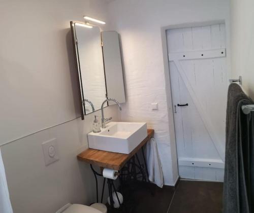 ein Badezimmer mit einem Waschbecken, einem Spiegel und einem WC in der Unterkunft Gästesuite am Waldrand, Ausstieg auf Zeit in Heideblick