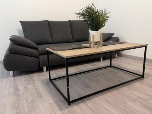 Ruang duduk di Appartement chaleureux proche RER/ CDG / Parc Expo