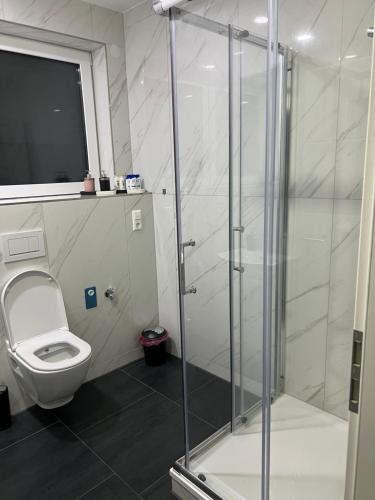 a bathroom with a shower and a toilet at 2 Zimmer wohnung zur tägliche Miete in Hechingen
