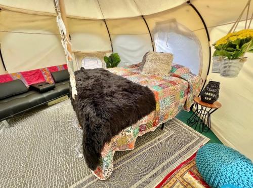 The Aries-a stargazing, luxury glamping tent 객실 침대