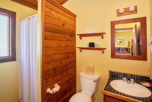 a bathroom with a toilet and a sink and a mirror at Cannon Beach Hotel Collection in Cannon Beach