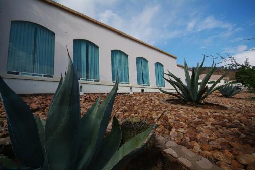 Hotel Baruk Teleferico Y Mina en Zacatecas