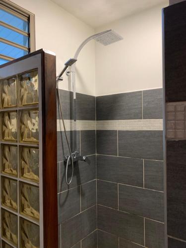 a bathroom with a shower with a glass door at TAMANU LODGE in Punaauia