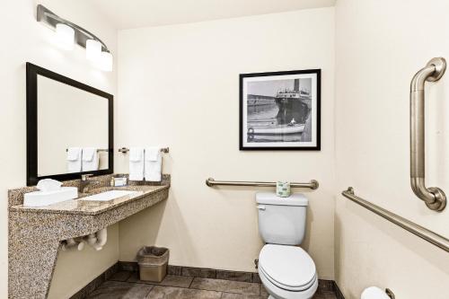 a bathroom with a toilet and a sink and a mirror at Cobblestone Hotel & Suites International Falls in International Falls