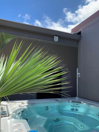 a jacuzzi tub in a room with a palm tree at TAMANU LODGE in Punaauia