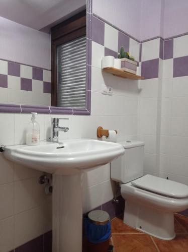 a bathroom with a sink and a toilet at Casa Rural Alicia in Villafranca de Ebro
