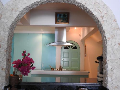 an archway leading into a room with a green door at Villa LAGUNA in Lowlands