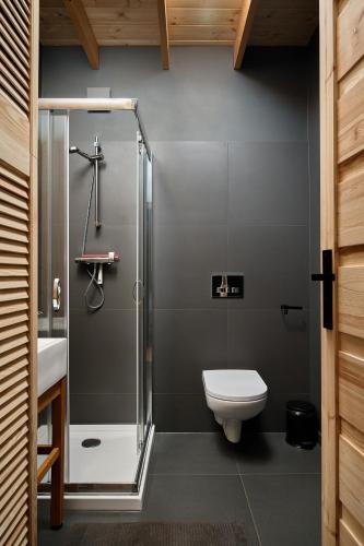 a bathroom with a shower and a toilet at Baza UDana in Janowice Wielkie