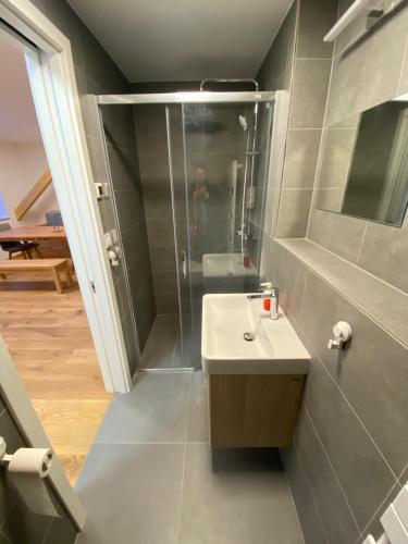 uma casa de banho com um chuveiro e um lavatório. em Wellness apartmán Pila Kvilda em Kvilda