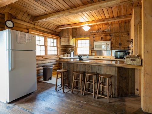 a kitchen with a white refrigerator and wooden walls at stayNantahala - Smoky Mountain Cabins in Aquone
