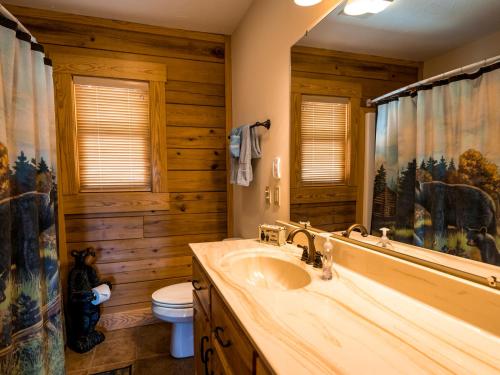 a bathroom with a sink and a toilet at stayNantahala - Smoky Mountain Cabins in Aquone