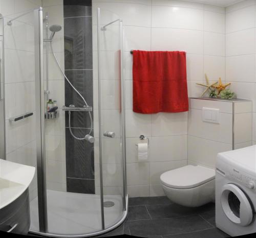 uma casa de banho com uma cabina de duche e um WC. em Haus Ingrid em Norddeich