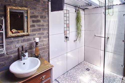 La salle de bains est pourvue d'un lavabo et d'une douche. dans l'établissement Gods Gift cottage and Mattaniah Cottage, à Clarens