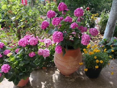 two large vases filled with flowers in a garden at ΚΑΛΟΣΚΟΠΗ Luxury House in Kaloskopí