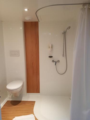 een badkamer met een douche, een toilet en een douchegordijn bij Hotel Macon la Salle in Mâcon