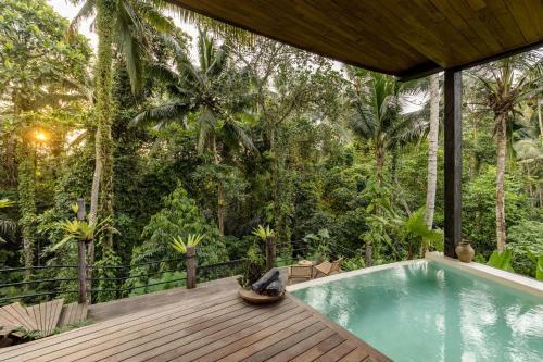 uma casa na selva com uma piscina em Casa Pohon Ubud em Ubud