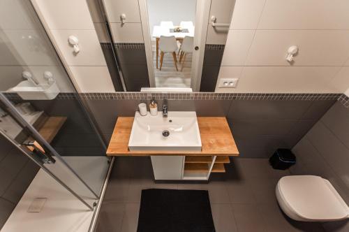 a bathroom with a sink and a toilet at Cozy Little Apartments in Ig