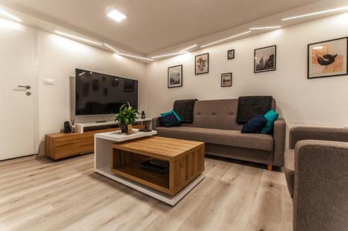 a living room with a couch and a tv at Cozy Little Apartments in Ig