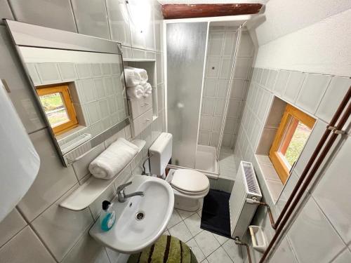 W łazience znajduje się umywalka, toaleta i lustro. w obiekcie Planinska Koliba Vlašić w mieście Vlašić