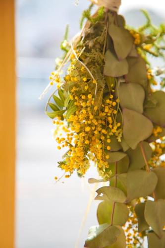 a bunch of yellow flowers on a plant at CASA Kamakura Espresso&BED in Kamakura