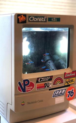 a video game in a box on a shelf at CASA Kamakura Espresso&BED in Kamakura
