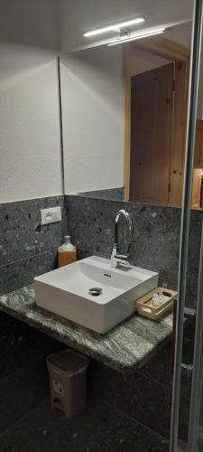 a bathroom counter with a white sink and a mirror at Galanthus in Aosta