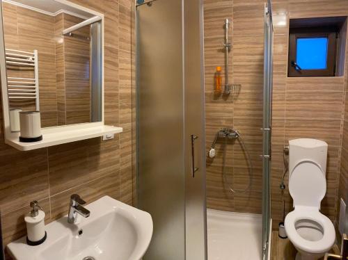 e bagno con servizi igienici, lavandino e doccia. di Casa Elysium a Vălenii de Munte