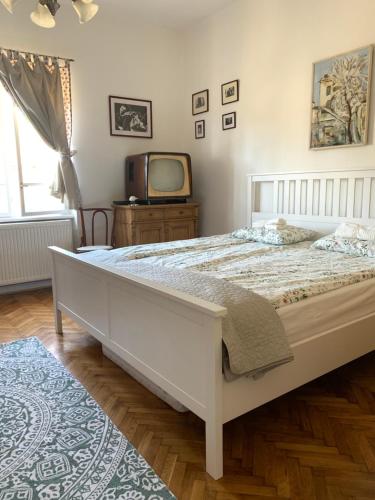 1 dormitorio con 1 cama grande y TV en Fecskés Öko Vendégház Ivád, 