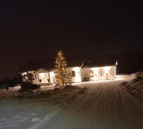 a house with a christmas tree in the snow at night at Mysig lägenhet med fjällutsikt i Sälen in Sälen