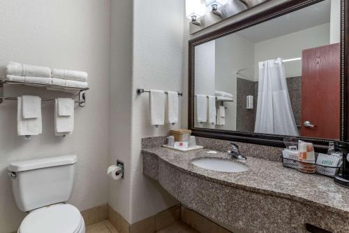 La salle de bains est pourvue de toilettes, d'un lavabo et d'un miroir. dans l'établissement Clarion Pointe Sulphur - Lake Charles, à Sulphur
