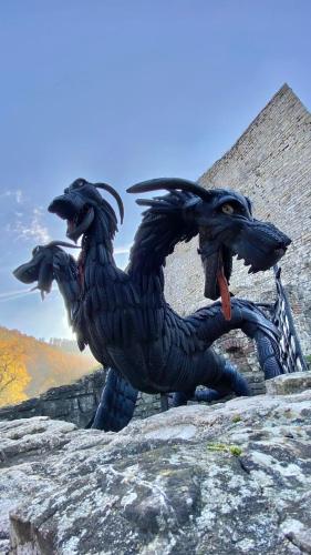 Άλλα ζώα σε αυτός ο ξενώνας ή στη γύρω περιοχή