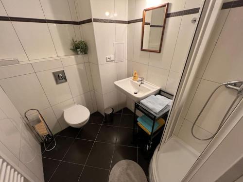 ein kleines Bad mit einem Waschbecken und einem WC in der Unterkunft Modern apartment Krymská & Francouzská street in Prag