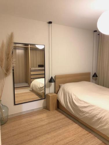 um quarto com uma cama e um espelho grande em Appartement Oslo - Strasbourg em Estrasburgo