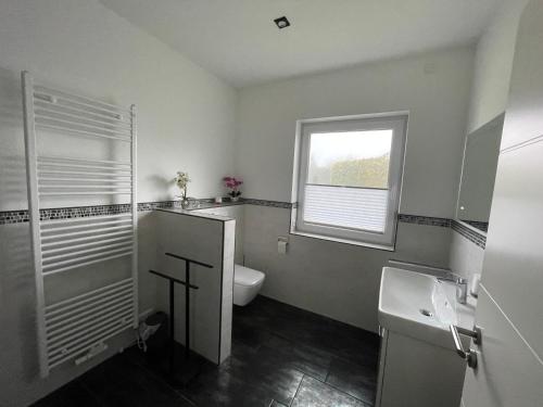 uma casa de banho com um WC, um lavatório e uma janela em Ferienhaus Meerzeit em Bastorf
