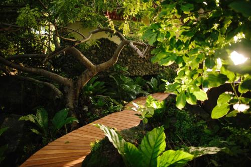 Isleta El Espino Ecolodgeにある庭