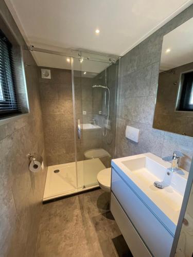 een badkamer met een douche, een wastafel en een toilet bij Tiny House am Veluwemeer im Europarcs Bad Hoophuizen in Hulshorst