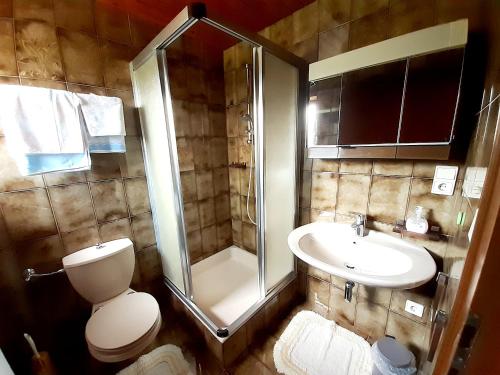 a bathroom with a shower and a toilet and a sink at Haus Früh in Telfes im Stubai