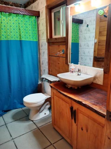 a bathroom with a sink and a toilet at Casa parcela Frutillar in Frutillar