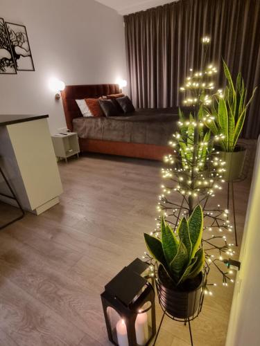 a living room with a christmas tree with lights at Studijos tipo butas netoli jūros - Vanagupės g in Palanga