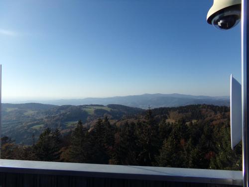 a view of a valley from a window with trees at Urlaubspension Die Mühle in Schöllnach
