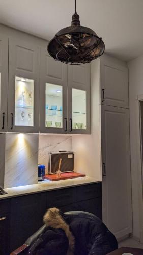 Zilla Apartment Luxury - Image 4