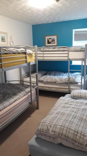 Ένα ή περισσότερα κρεβάτια σε δωμάτιο στο Blue Room Hostel Newquay